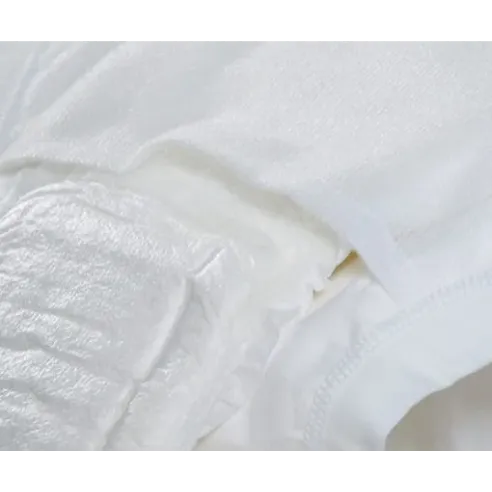 Slip Riutilizzabili Incontinenza con Tasca Assorbente - Acquista Ora